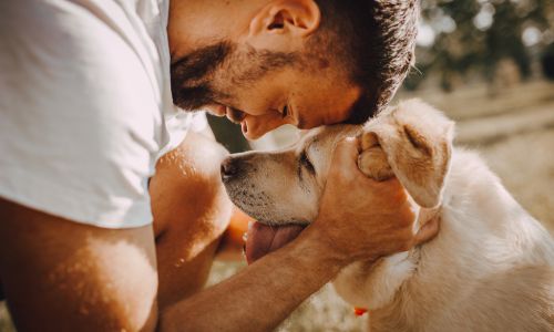 A man gently pets his dog while sitting on the grass